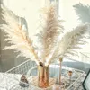 装飾的な花の花輪10pcs 120cmふわふわした大きなパンパスグラスドライナチュアルドリイクリスマスホーム装飾DIYウェディングデコレーション221122