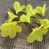 Flores decorativas grinaldas 20 Plumerias naturais reais toques frangipani bolo de cabeça cubos de casamento decoração de casamento havaí flor tropical 221122