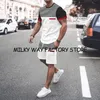 Men's Hoodies Sweatshirts Summer Men's Solid Color Stripe Print Tracksuit 2 Pieces Fashion TShirt Shorts Set Male Casual Streetwear Clothing Outfit 221122