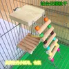 Other Pet Supplies Small parrot tiger skin peony starling supplies ladder swing bite toy bird cage bracket bar Hamsters can also be used 221122