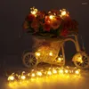 Строки 5 м 50 теплые белые рождественские светильники гирлянды с аккумулятором светодиодные струны гилландируйте свадебные украшения Lumineuse