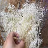 Decorative Flowers Wreaths 60g Real Natural Fresh Forever Babysbreath Dried Preserved Baby breath DIY Dry Gypsophile Flower Bouquet For Home Decor 221122