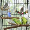 Other Pet Supplies Macaws Parrots Small Birds Standing Chew Swing Toys Xmas Gifts for Bird Lovers 221122