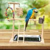 Inne zaopatrzenie w Pet Parrot Parrot Play -Bird Playground Solid Wood Perch Ladder for Parakeet 221122