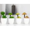 Fleurs décoratives 1PC mignon bonsaï en pot plantes vertes en plastique artificiel avec simulation de pot succulentes décoration de table décor de bureau à domicile