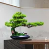 Dekorativa blommor kinesisk stil simulerad välkomnande tall bonsai luohan cypress falska växter grönare konstgjord uteplatsdekor