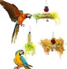 Diğer Kuş Malzemeleri 5 PCS Kuş Papağan Parçası Oyuncaklar Çiğneme Yemleme Hakkalan Kafes Kağıt Dizeleri Tel Çizim Top Oyuncakları Rahatlatma Can sıkıntısı 221122