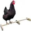 Other Pet Supplies 157Inch Stretch Chicken Perch Strong Roosting Bar Solid Wood Accessories And Toys Chicks Stand For Coop And Brooder 221122