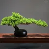 Flores decorativas estilo chinês simulado pinheiro bonsai luohan cipreste plantas falsas vegetação decoração de pátio artificial