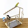Другие домашние животные поставляют деревянные птичьи окунь с кормовой чашки Parrot Platform Платформа игровой площадки для спортзала для игровой стенды Интерактивные игрушки F3002 221122