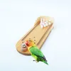 Inne zaopatrzenie ptaków Parrot Bird Wooden Mini Desktop Bowling Toy Training Intelligence Training dla Finch Budgie 221122