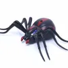 Electric RC Animals Infrared Electronic RC Animal Simulation Robotic Insect Prank Pet Toys Cockroach for Dog Cat Remote Control Spider Cobra Snake 221122