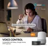 Ampoule intelligente aucun hub requis contrôle de groupe ampoules WiFi multicolores à intensité variable fonctionnent avec Alexa Google Home Siri 110-265V