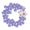 Decorative Flowers Wreaths 100pcs Pressed Dried Blue Myosotis Sylvatica Forgetmenot For Epoxy Resin Pendant Necklace Jewelry Making Craft DIY Accessories 221122