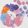 Dekoratif Çiçek Çelenkleri 60pcs Preslenmiş Kurutulmuş Consolida Ajacis Çiçek Tesisi Herbaryum Kabuk Kartpostal Davetiye Kart Telefon Vaka DIY 221122