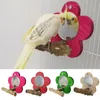 مستلزمات الحيوانات الأليفة الأخرى مرآة الطيور مع عصا الخشب الطبيعية على قفص ببغاء تحمل ألعاب ببغاء للببغاء cockatoo conure 4 ألوان 221122