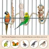 مستلزمات الحيوانات الأليفة الأخرى 7 أجهزة كمبيوتر ببغاء مجموعة ألعاب الطيور الخشبية لعبة الببغاء الصغيرة ل cockatiels conurs finches parrots الحب الطيور القضاء على إجهاد الطيور 221122