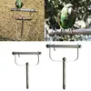 Outros suprimentos para animais de estimação Bird Pold Stand Stand Standless Steel Parrot Pol.