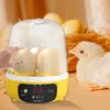 Autres fournitures pour animaux de compagnie Mini incubateur d'oeufs automatique numérique 5 oeufs Tourneur automatique Contrôle de la température Machine d'éclosion de volaille pour l'éclosion de poulet oie 221122