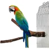 Andra husdjurstillbeh￶r 6 stycken Papegojor Perch Bird Stand Toy Wood Stand Wood Training Standing Set f￶r sm￥ och medelstora f￥gelburetillbeh￶r 221122