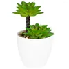 Fleurs décoratives 1PC mignon bonsaï en pot plantes vertes en plastique artificiel avec simulation de pot succulentes décoration de table décor de bureau à domicile