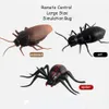 Simulação elétrica RC Animals Controle remoto infravermelho Concluido Animal Spider Spider Bug Prank Diversão RC Kids Toy Presente de alta qualidade Drop 221122