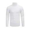 T-shirts pour hommes Casual Hommes Hiver Couleur Unie Col De Tortue À Manches Longues Twist Tricoté Slim Pull Pulls Pour Hommes Pull Tricots