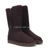 Bottes de créateurs Femmes Botte de neige Chaud Classique Mini Demi-Cheville Flull Fourrure Fluffy Fourrure Noir Gris Marron Bottines Australie Talons Plats Luxueux Chaussons d'hiver Pantoufles