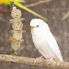 Andra husdjur levererar f￥gel tugga leksaksburklocka tr￤ f￶r sm￥ parakiter papegojor ￤lskar s conures tillbeh￶r 221122