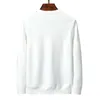 2022 new Men's Sweaters Autumn Casual fashion Men designer Sweaters