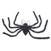 Party Decoration Halloween Party Decoration Simated Plush Spider and Web Trick Toys Novel Festive Home Bar Wall Decor 41MB E3 Drop D DHR36