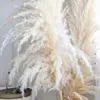 Dekorativa blommor kransar 10st 120 cm fluffiga stora pampas gräs torkat högt naturligt driy julhem boho dekor diy bröllop dekoration 221122