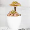Fleurs décoratives 1PC mignon bonsaï en pot plantes vertes en plastique artificiel avec simulation de pot succulentes décoration de table décor de bureau à domicile