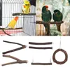 Outros suprimentos para animais de estimação 6pcs Bird birdes de madeira natural suporte de madeira parrot pata hrooming bar círculo brinquedos para cockatiel conure periquito amorbird 221122