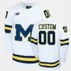 James Hockey Rutger McGroarty Custom Hockey Jersey 11 Mackie Samoskevich 19 Adam Fantilli 22 Philippe Lapointe 33 Kienan Draper 91 Frank Nazar III