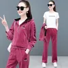 Women's Two Piece Pants Velvet Suit Autumn Winter Hooded Fashion Comfortable Warm Three Piece Set Women Red Blue Black Plus Size Clohting 221123