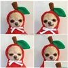 Dog Apparel Dog Apparel Winter Warm Clothes Cute Plush Coat Hoodies Pet Costume Jacket For Puppy Cat French Bldog Chihuahua Small Cl Dhqwi