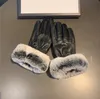 Super Plush Velvet Gloves Rabbit Päls Varma varma vantar Kvinnor plus Velvet Glove Cykling Pekskärm Mitten med låda