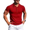 Męskie polo S5xl 10 kolorów koszule polo dla swobodnego stałego koloru Slim Fit S Shortsleeved Summer Plus Size Odzież 221122
