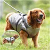 Abbigliamento per cani Abbigliamento VIP Giacca per taglia piccola, media e grande s Inverno Caldo costume per cani bulldog francese vestiti per animali domestici 221123