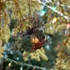 Christmas Decorations Pre-lit Artificial Hanging Basket-mixed And White LED Lights-frosted Berries