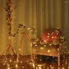 Strings 100LED String Lights Indoor Outdoor 10M / 32,8ft Natale 8 modalità Impermeabile Twinkle Fairy Plug In per Natale