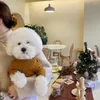 犬のアパレルペット服秋の冬ミディアムストライプセーター温かいウールファッションパターン子犬の甘いプルオーバーチワワ猫