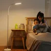 Vloerlampen afstandsbediening LED -lamp zilver zwart 360 graden flexibel moderne eenvoudige slaapkamerstandlicht voor woonkamerstudie 12w