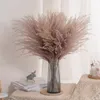 Ghirlande di fiori decorativi 30 pezzi Bouquet di canne essiccate reali Decorazione di nozze per la casa Tavolo Flores Preservadas Erba di pampa naturale Decor per camera 221122