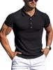Męskie polo S5xl 10 kolorów koszule polo dla swobodnego stałego koloru Slim Fit S Shortsleeved Summer Plus Size Odzież 221122