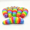 Fidget Slug 3D Articulated Toy Sensory Slugs Relief for Toddler Baby Kids Boys Girl Rainbow Wiggle Caterpillar Sensory Worm Toys