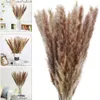 Dekorativa blommor kransar 100pcslot grädde pampas gräs fluffy rum fragmites dekoration naturlig kanin svans torkad bukett boho heminredning 221122