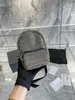 Классический Wang Luxurys Designer Bags Wallet Women Mini Swork Pack Пакет плеч