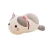 Plush toy cat teacher doll cute kitten doll girls like gifts